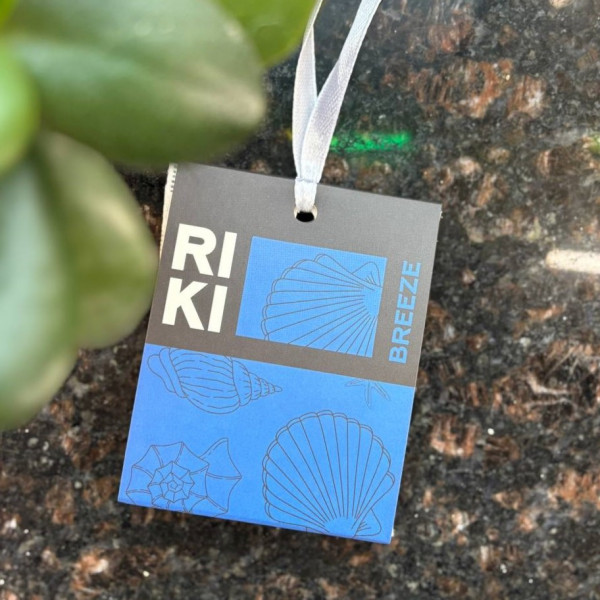 Ароматизатор-саше для дома Riki Breeze 10гр NAS10-4-