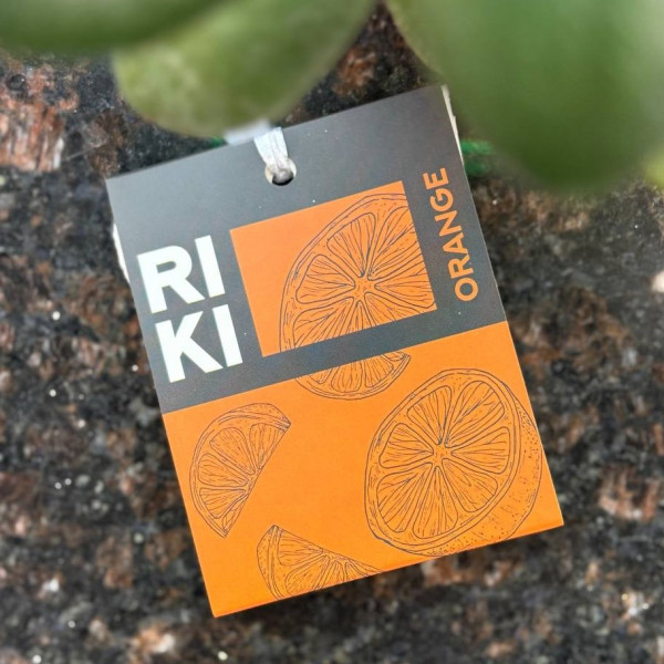Ароматизатор-саше для дома Riki Orange 10гр NAS10-1-